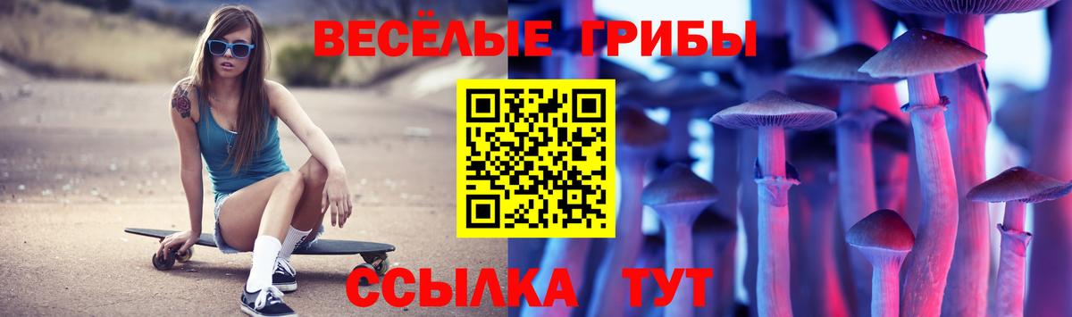 Псилоцибиновые грибы Psilocybe  Вход с VPN  купить  сайты  Люберцы 